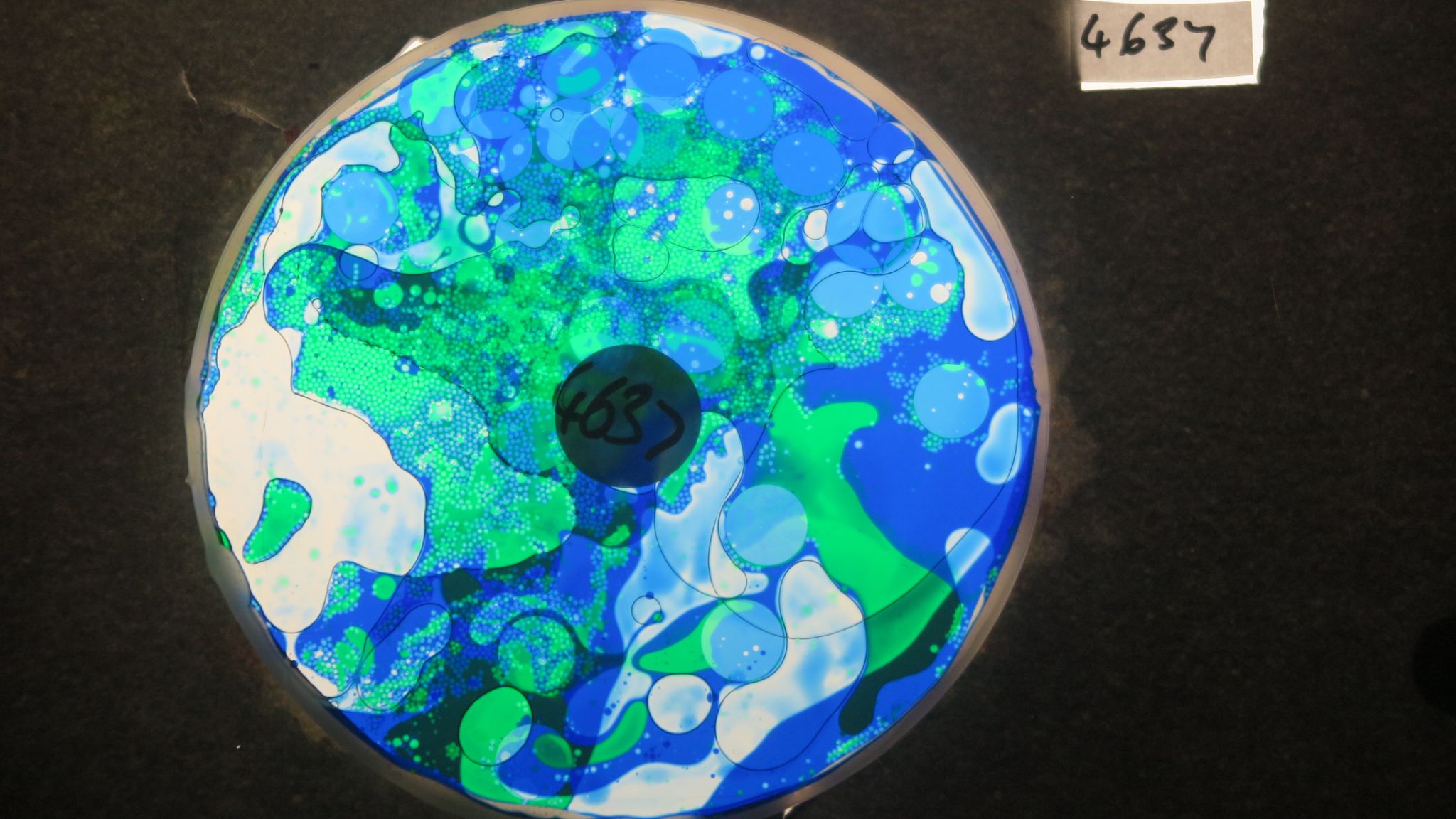 BV4637 bubble vision oil wheel